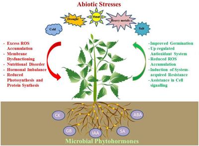 Phytohormones and Beneficial Microbes: Essential Components for Plants to Balance Stress and Fitness